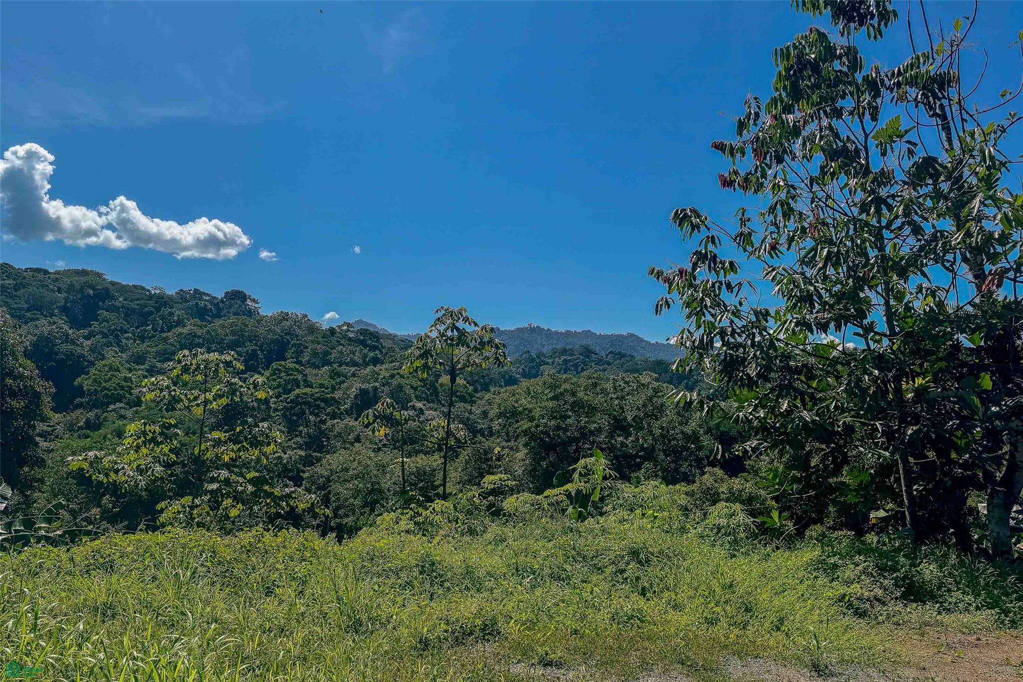 Mountain View Investment Land