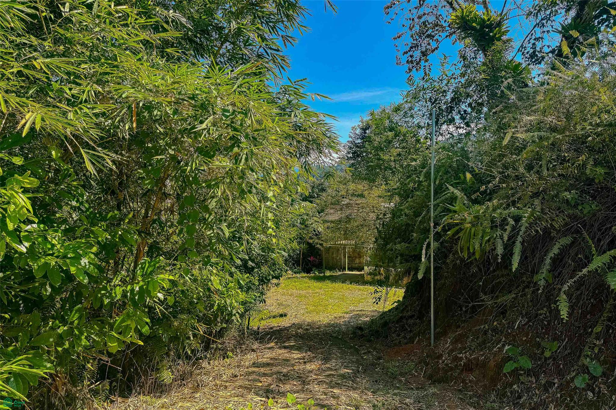 Mountain View Investment Land