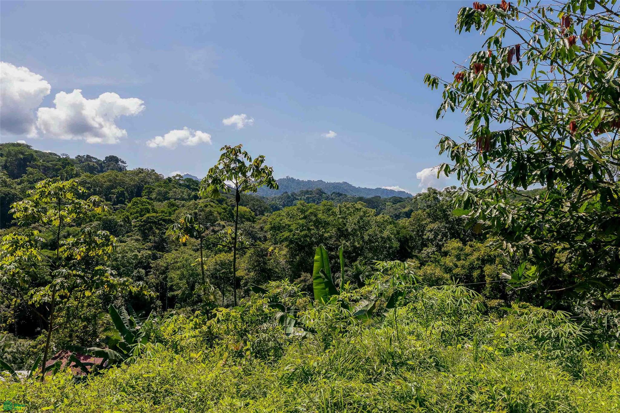 Mountain View Investment Land