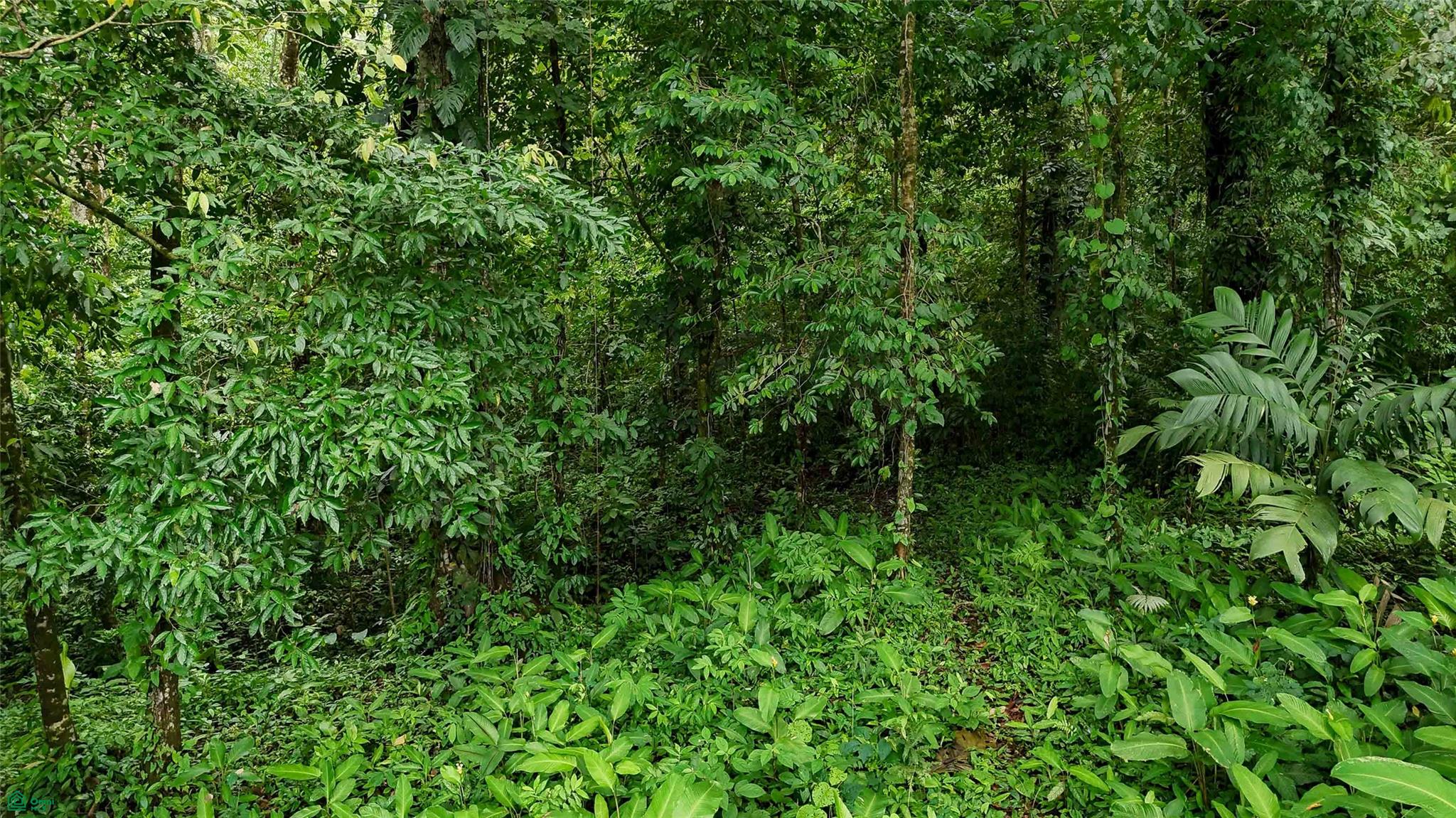 Ocean View Residential Lot
