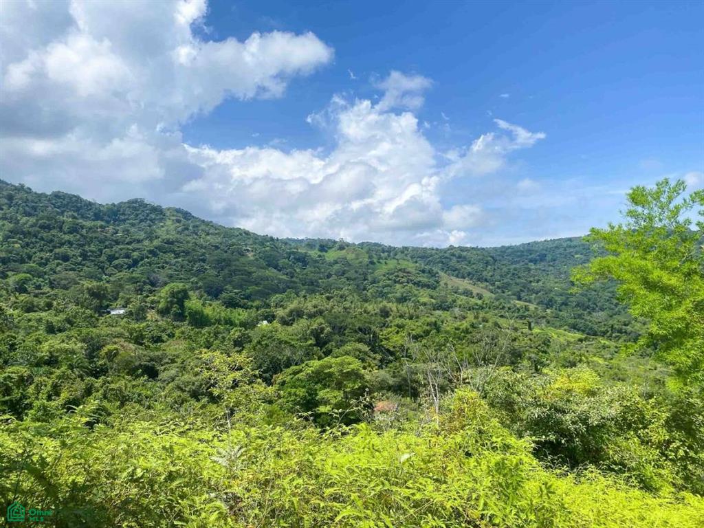 Ocean and Mountain View San Salvador , Barú, Perez Zeledon, San Jose