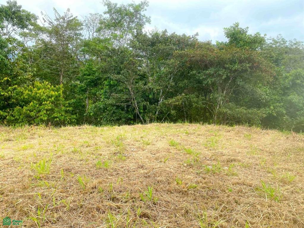 Affordable Lot, Established Gated Community Chontales , Puerto Cortés, Osa, Puntarenas