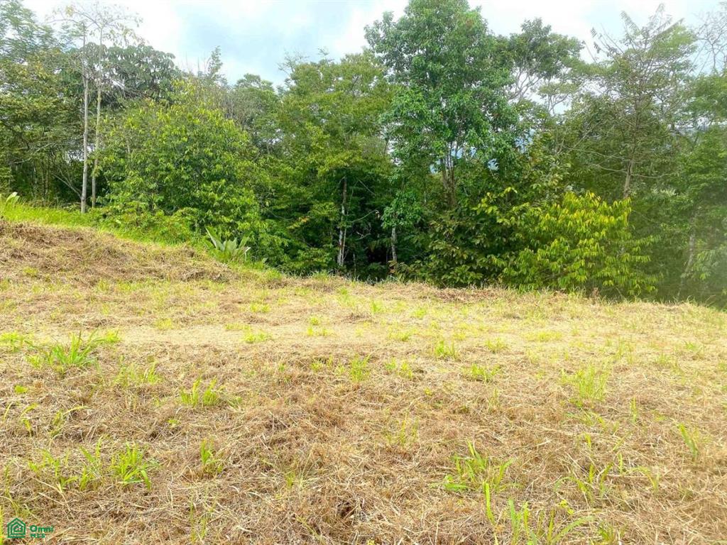 Affordable Lot, Established Gated Community Chontales , Puerto Cortés, Osa, Puntarenas