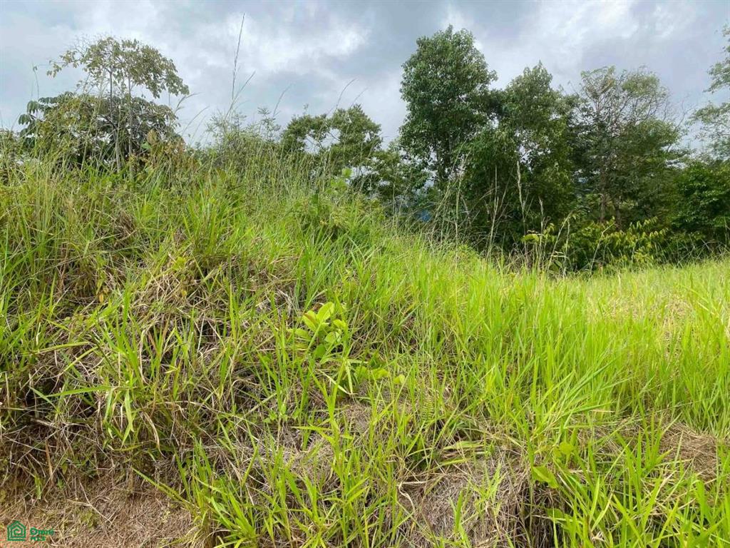 Affordable Lot, Established Gated Community Chontales , Puerto Cortés, Osa, Puntarenas