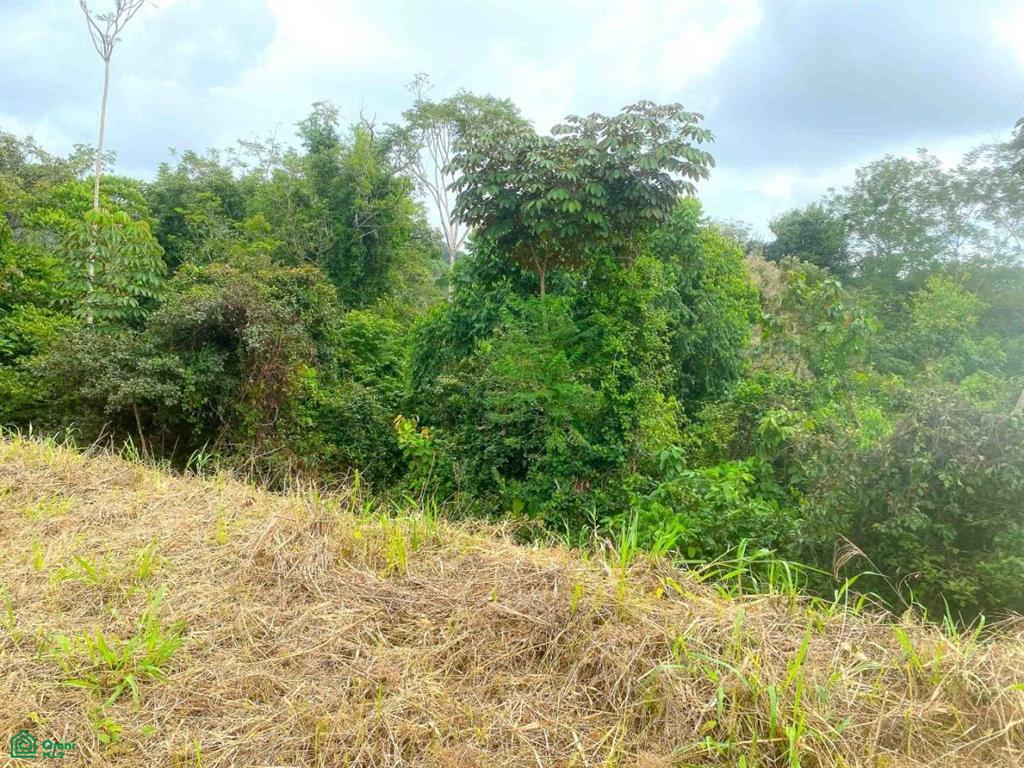 Affordable Lot, Established Gated Community Chontales , Puerto Cortés, Osa, Puntarenas