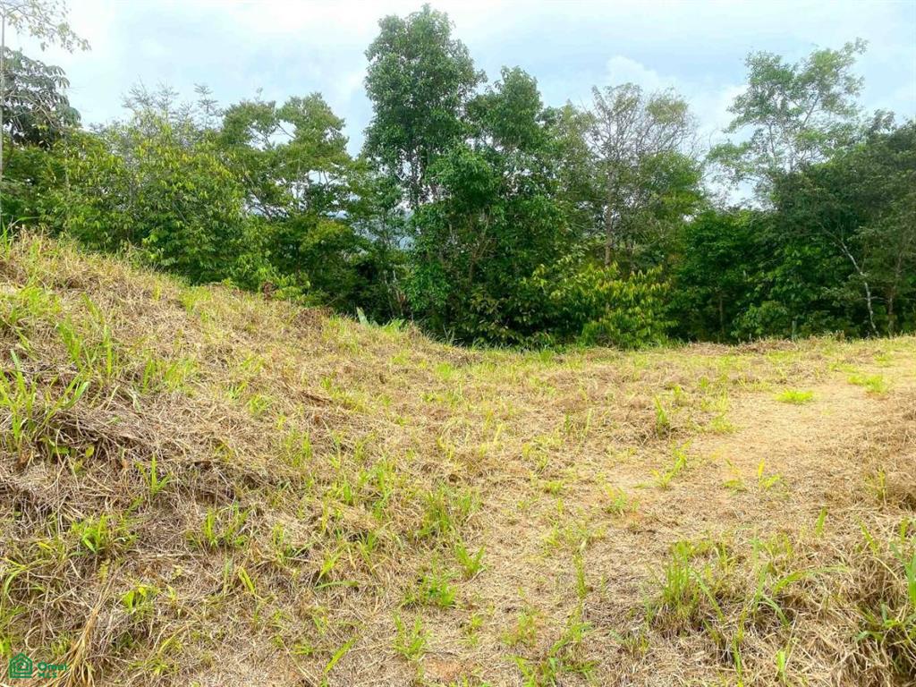 Affordable Lot, Established Gated Community Chontales , Puerto Cortés, Osa, Puntarenas