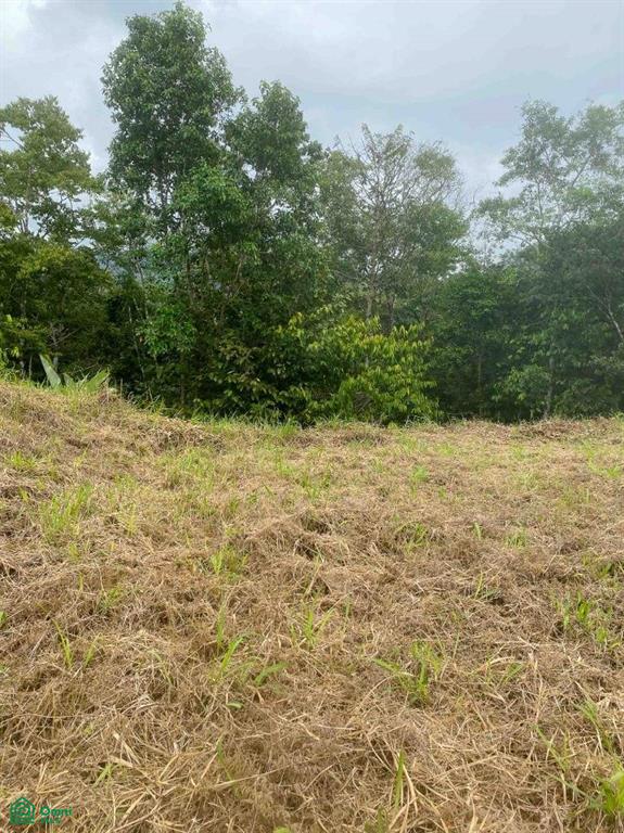 Affordable Lot, Established Gated Community Chontales , Puerto Cortés, Osa, Puntarenas
