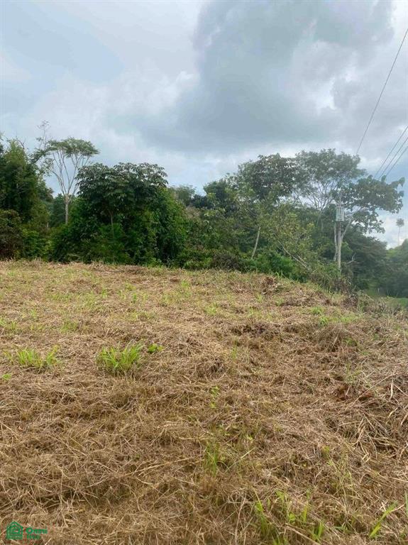 Affordable Lot, Established Gated Community Chontales , Puerto Cortés, Osa, Puntarenas