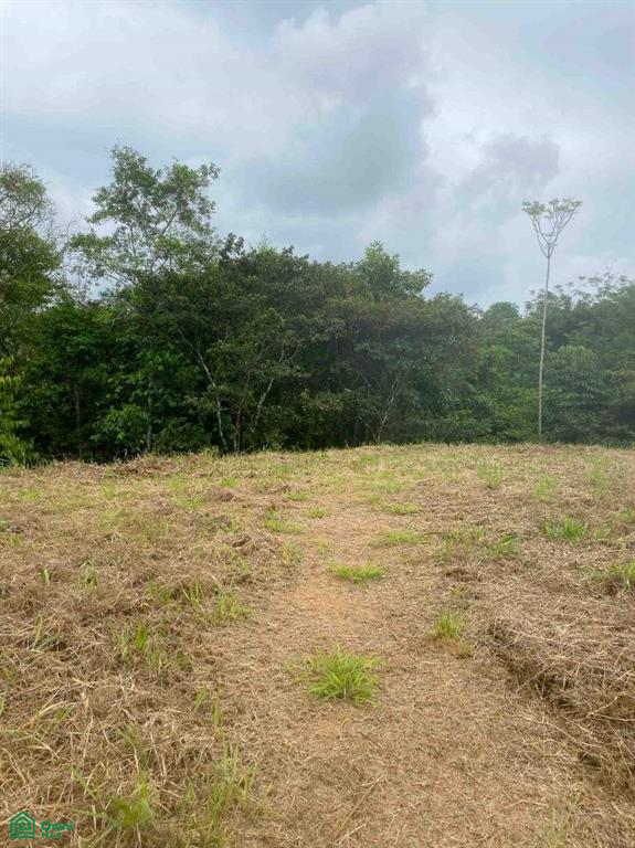 Affordable Lot, Established Gated Community Chontales , Puerto Cortés, Osa, Puntarenas