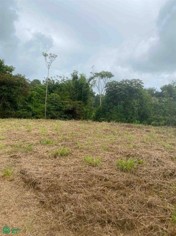 Affordable Lot, Established Gated Community Chontales , Puerto Cortés, Osa, Puntarenas