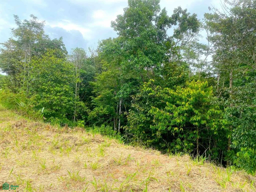Affordable Lot, Established Gated Community Chontales , Puerto Cortés, Osa, Puntarenas