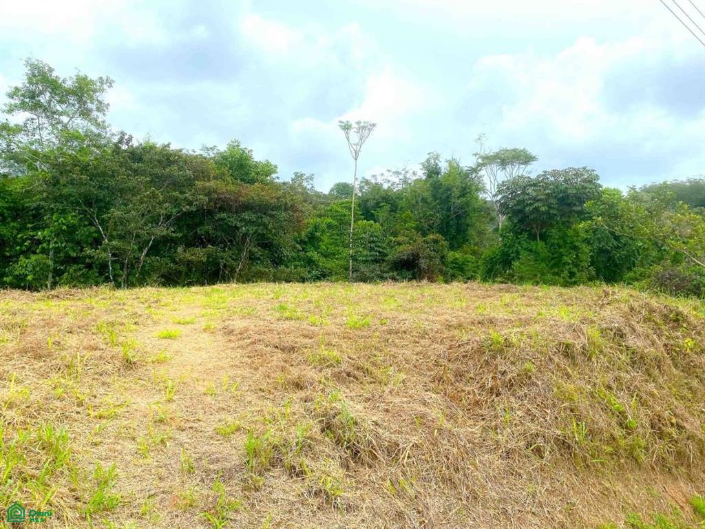 Affordable Lot, Established Gated Community Chontales , Puerto Cortés, Osa, Puntarenas