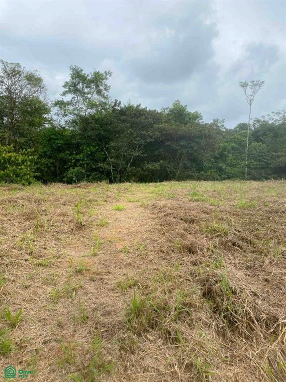 Affordable Lot, Established Gated Community Chontales , Puerto Cortés, Osa, Puntarenas