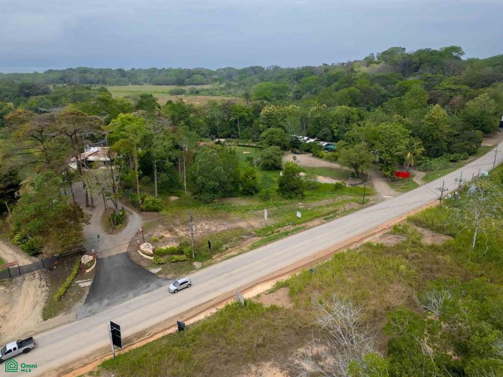 Commercial Property , Bahía Ballena, Osa, Puntarenas