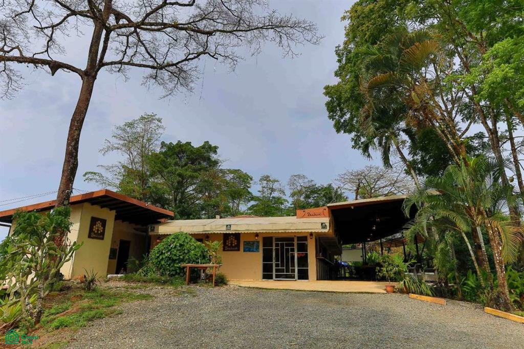 Commercial Property , Bahía Ballena, Osa, Puntarenas