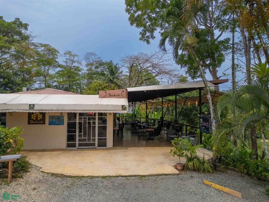 Commercial Property , Bahía Ballena, Osa, Puntarenas