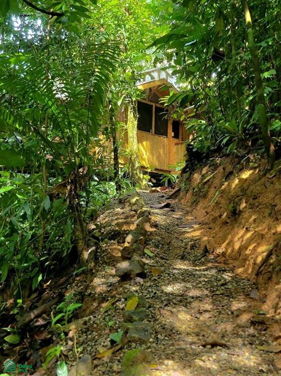 Sustainable Community House , Piedras Blancas, Osa, Puntarenas
