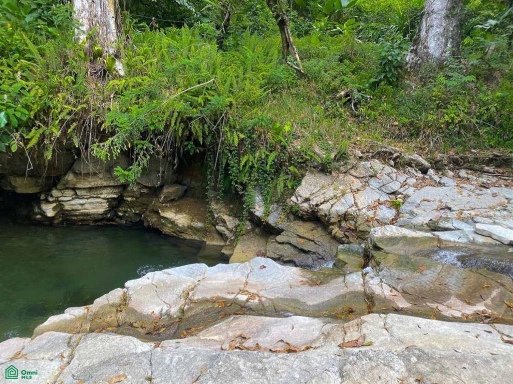 Sustainable Community House , Piedras Blancas, Osa, Puntarenas