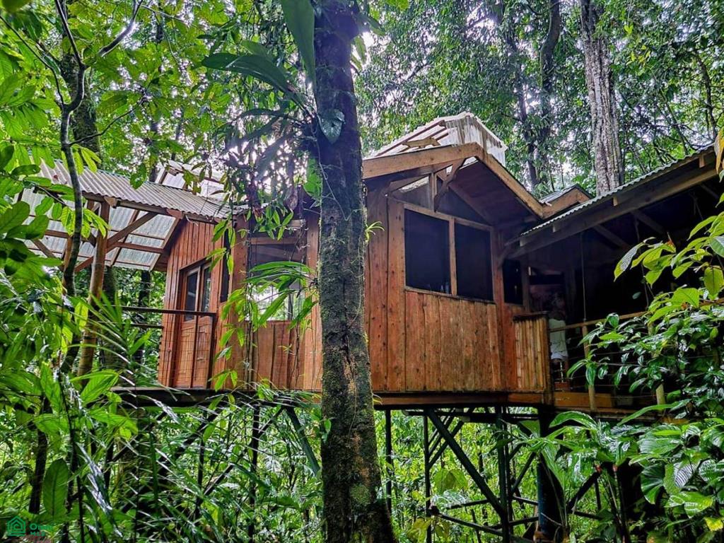 Sustainable Community House , Piedras Blancas, Osa, Puntarenas