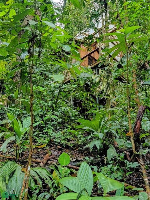 Sustainable Community House , Piedras Blancas, Osa, Puntarenas