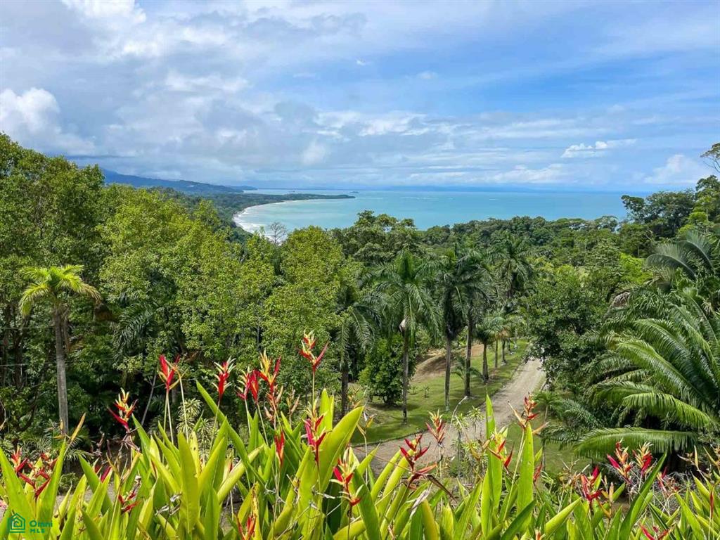 Impeccable Estate and Reserve, Overlooking Playa Hermosa , Bahía Ballena, Osa, Puntarenas