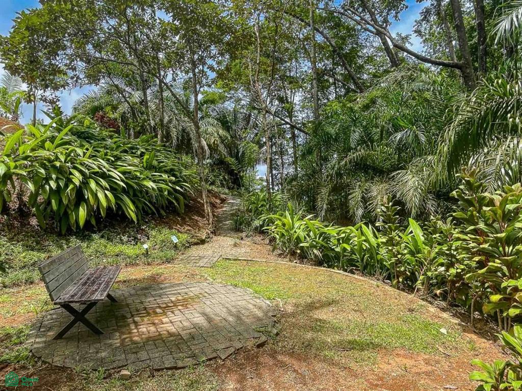 Impeccable Estate and Reserve, Overlooking Playa Hermosa , Bahía Ballena, Osa, Puntarenas