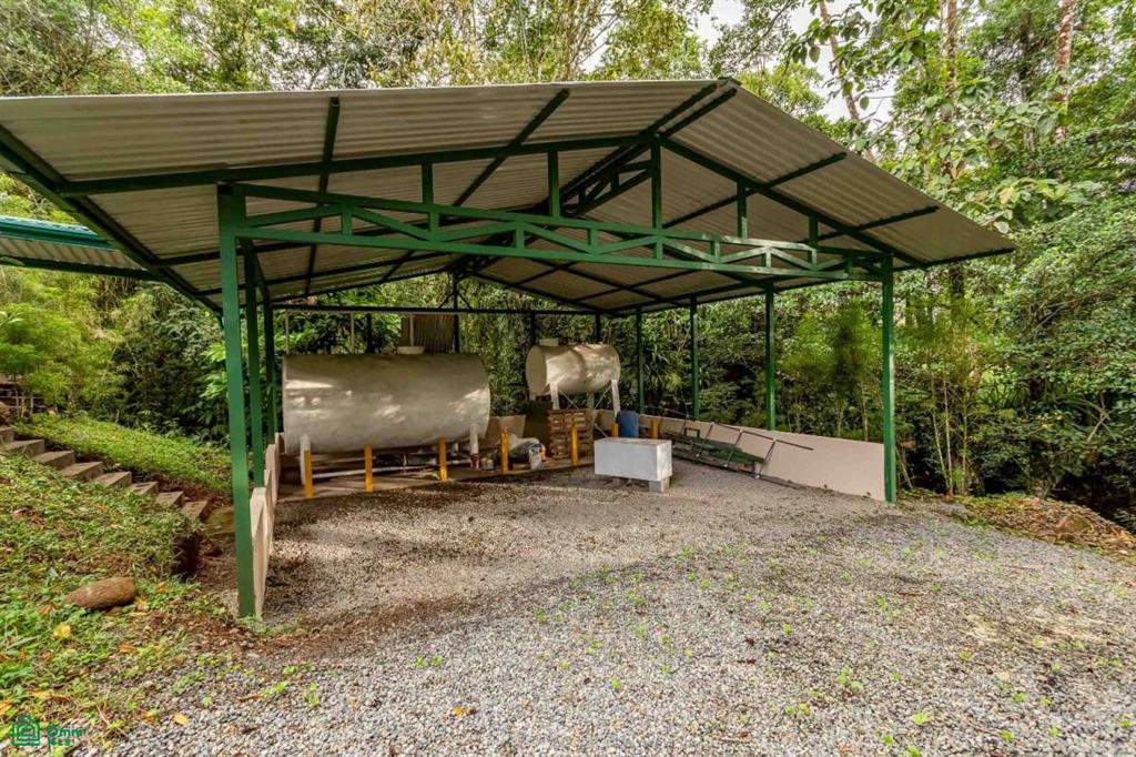 Finca Shakti , San Isidro del General, Perez Zeledon, San Jose