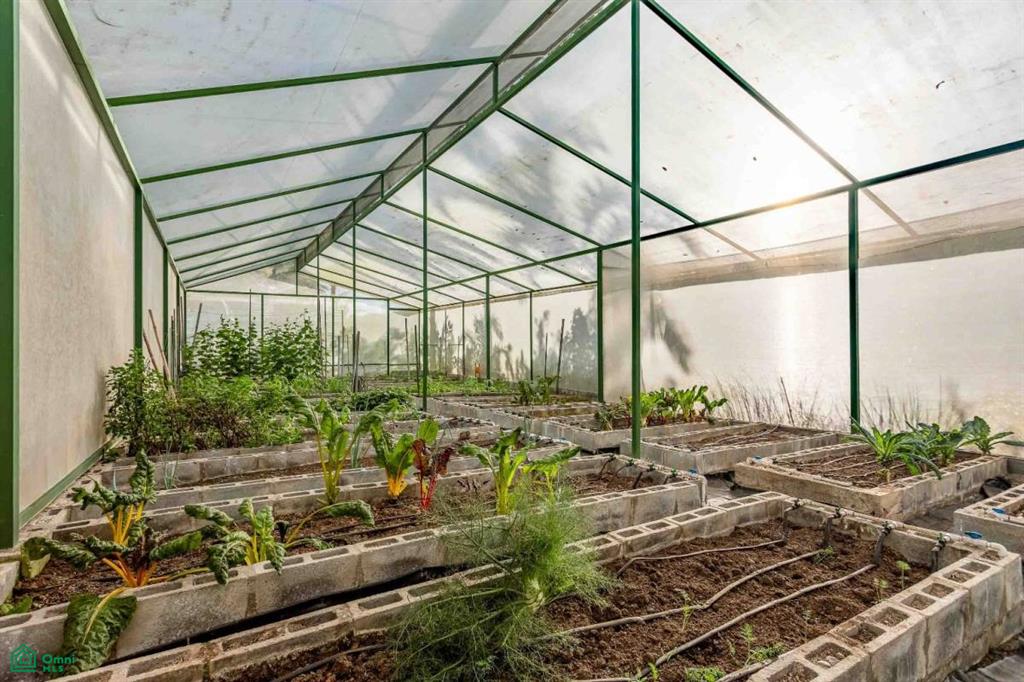 Finca Shakti , San Isidro del General, Perez Zeledon, San Jose