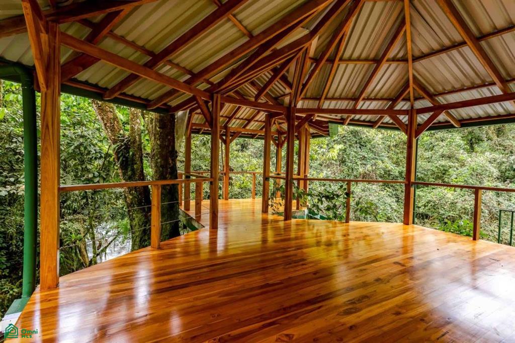 Finca Shakti , San Isidro del General, Perez Zeledon, San Jose