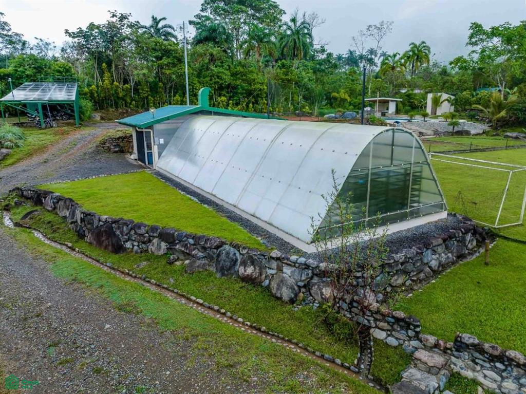 Finca Shakti , San Isidro del General, Perez Zeledon, San Jose