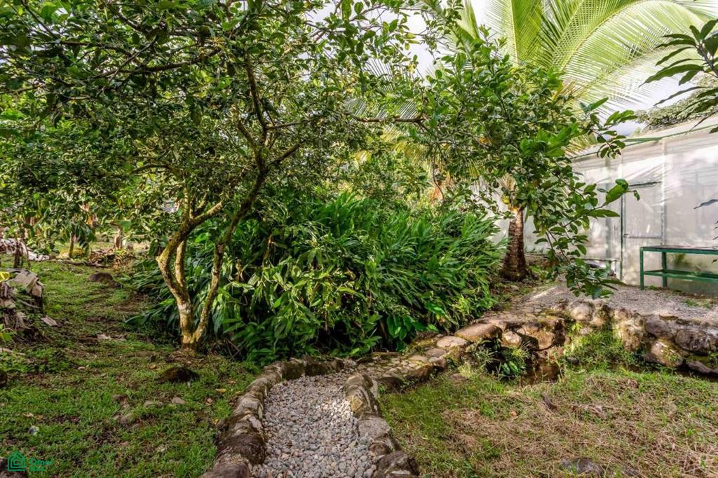 Finca Shakti , San Isidro del General, Perez Zeledon, San Jose