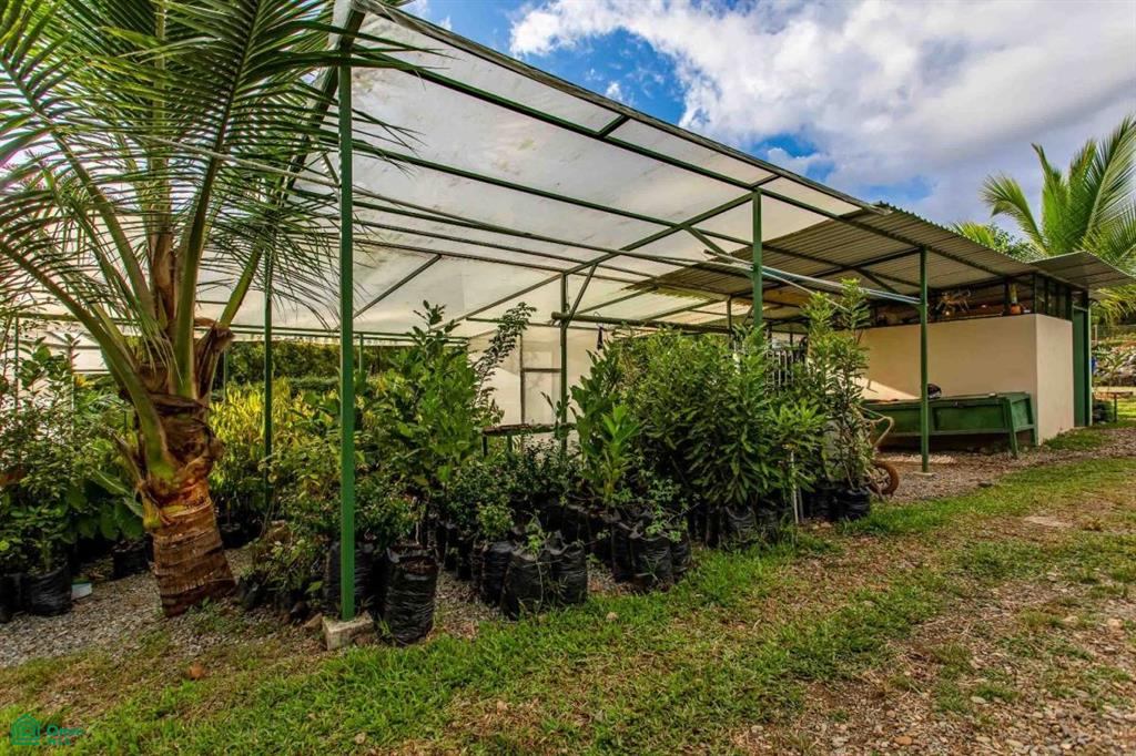Finca Shakti , San Isidro del General, Perez Zeledon, San Jose