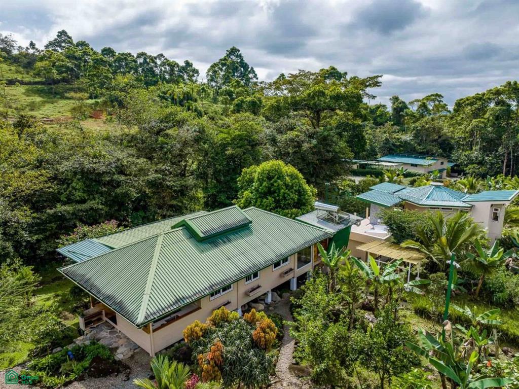 Finca Shakti , San Isidro del General, Perez Zeledon, San Jose