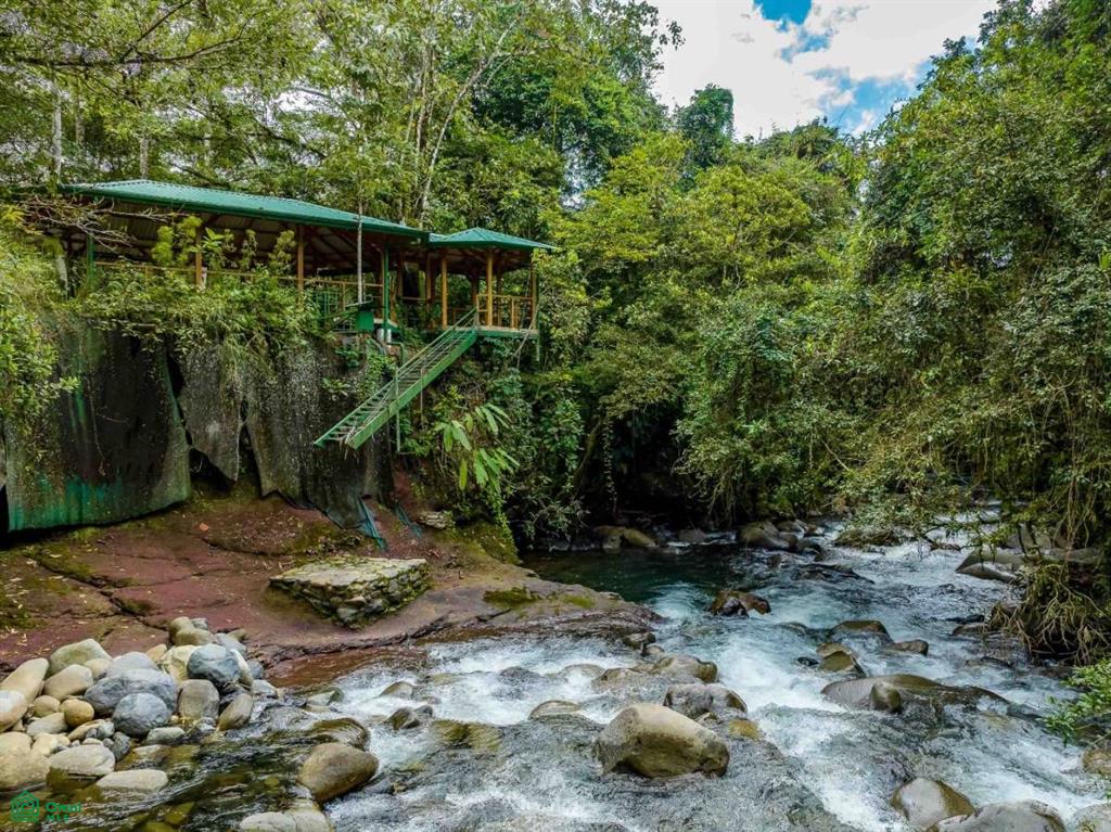 Finca Shakti , San Isidro del General, Perez Zeledon, San Jose