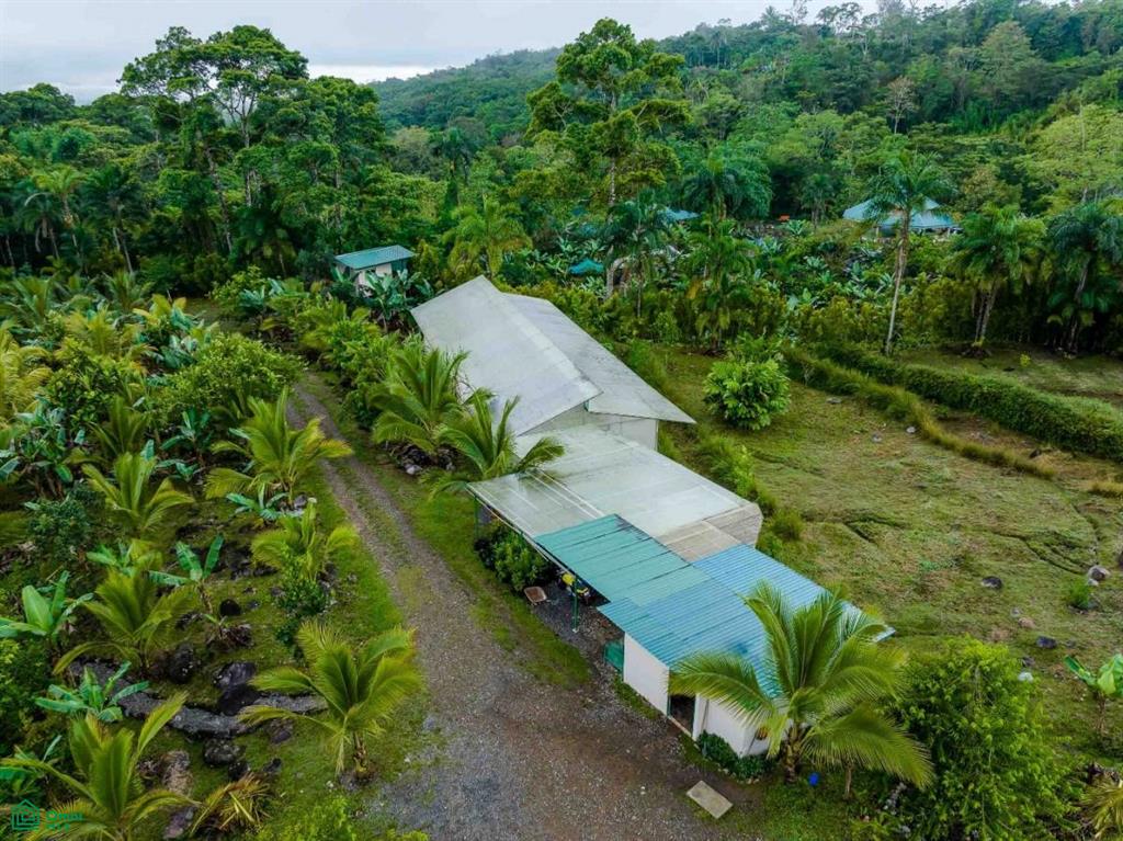 Finca Shakti , San Isidro del General, Perez Zeledon, San Jose