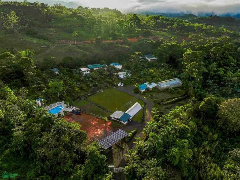 Finca Shakti , San Isidro del General, Perez Zeledon, San Jose