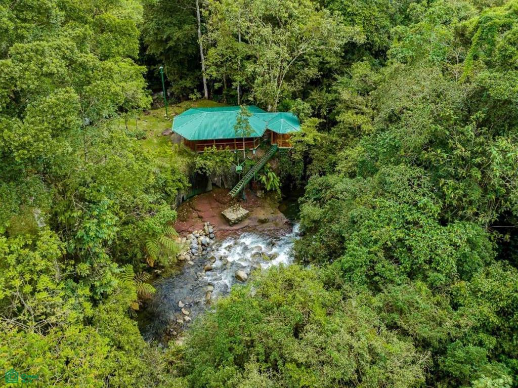 Finca Shakti , San Isidro del General, Perez Zeledon, San Jose