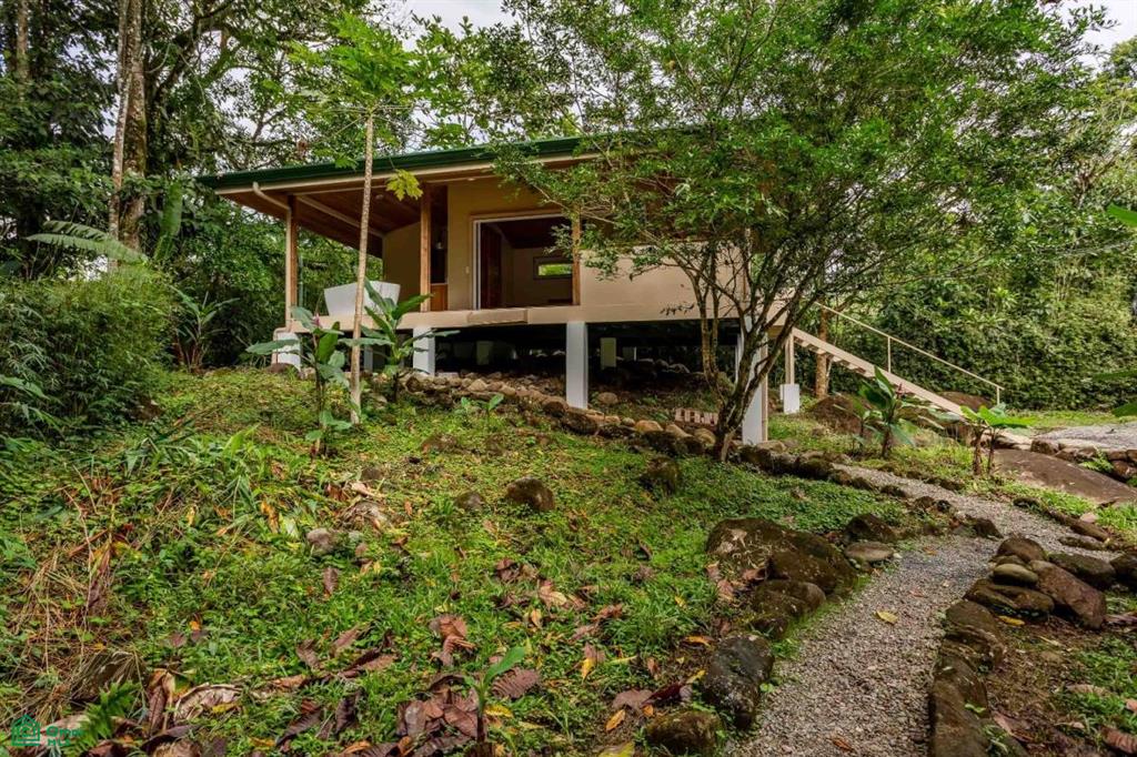 Finca Shakti , San Isidro del General, Perez Zeledon, San Jose