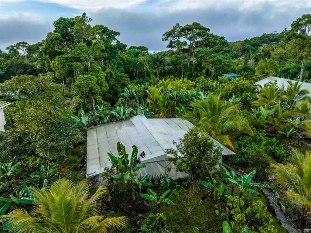 Finca Shakti , San Isidro del General, Perez Zeledon, San Jose