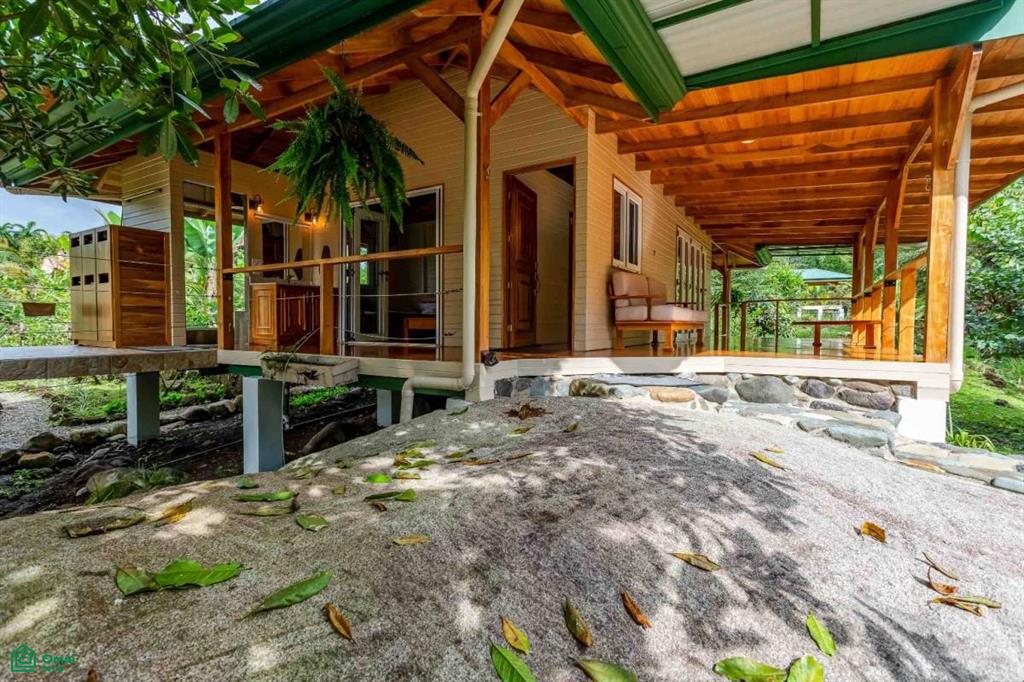 Finca Shakti , San Isidro del General, Perez Zeledon, San Jose