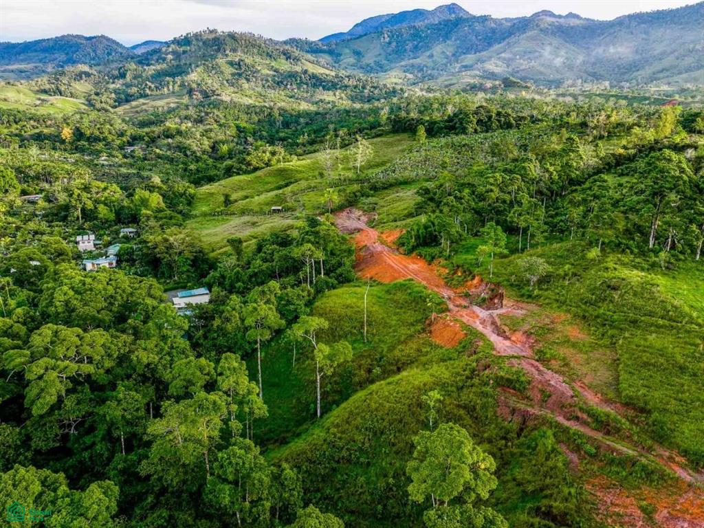 Finca Shakti , San Isidro del General, Perez Zeledon, San Jose