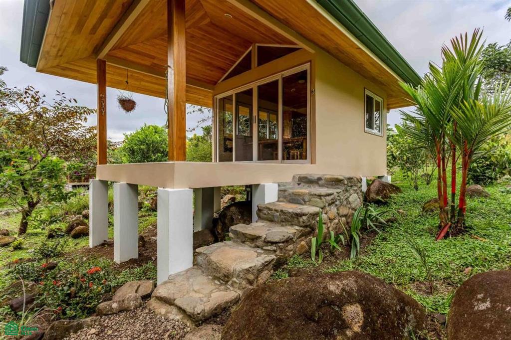Finca Shakti , San Isidro del General, Perez Zeledon, San Jose