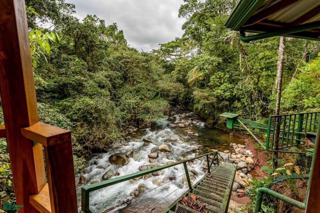 Finca Shakti , San Isidro del General, Perez Zeledon, San Jose