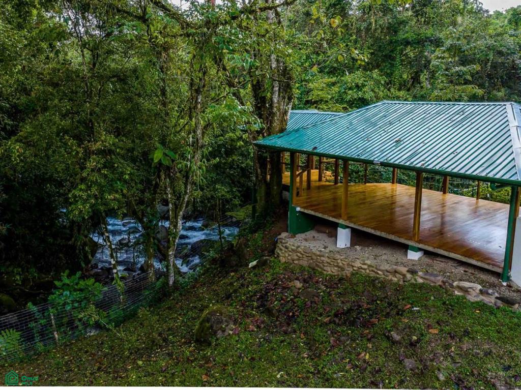 Finca Shakti , San Isidro del General, Perez Zeledon, San Jose