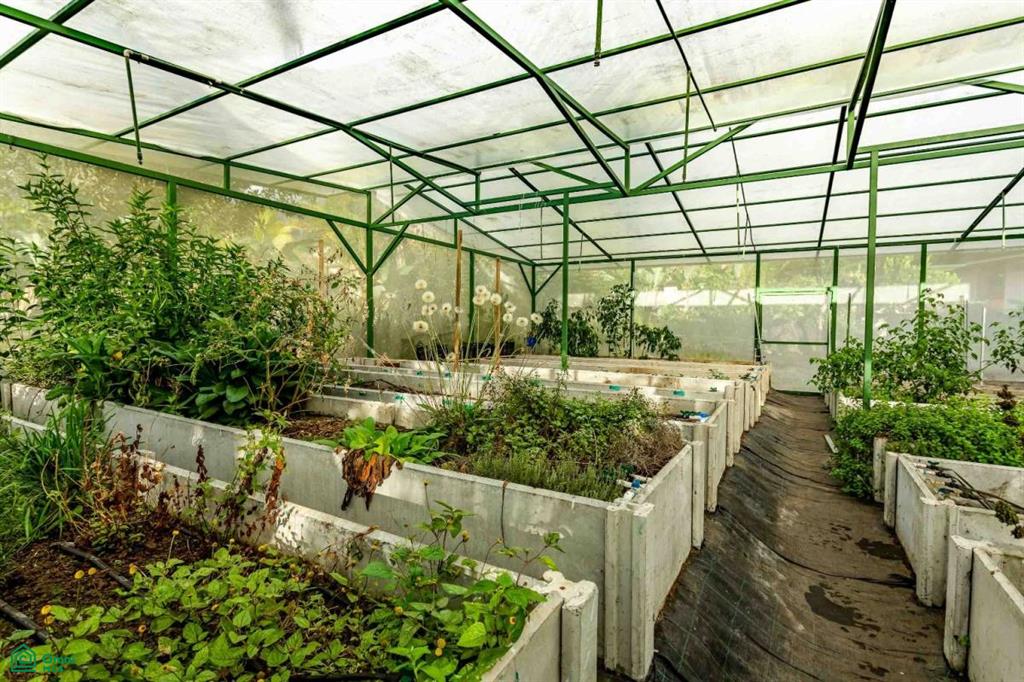 Finca Shakti , San Isidro del General, Perez Zeledon, San Jose