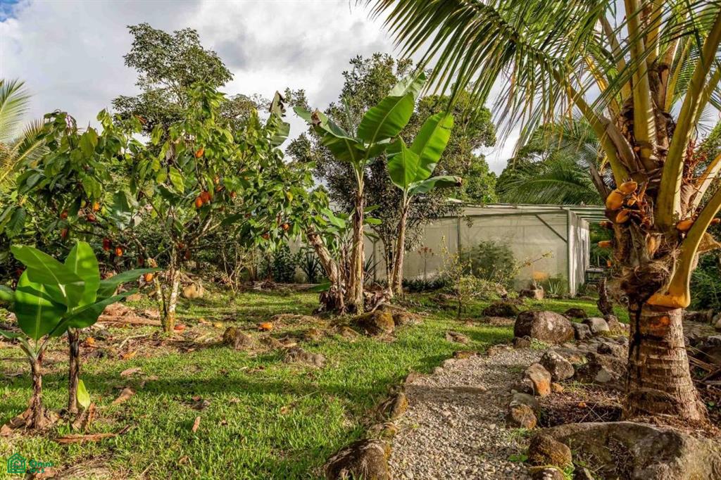 Finca Shakti , San Isidro del General, Perez Zeledon, San Jose