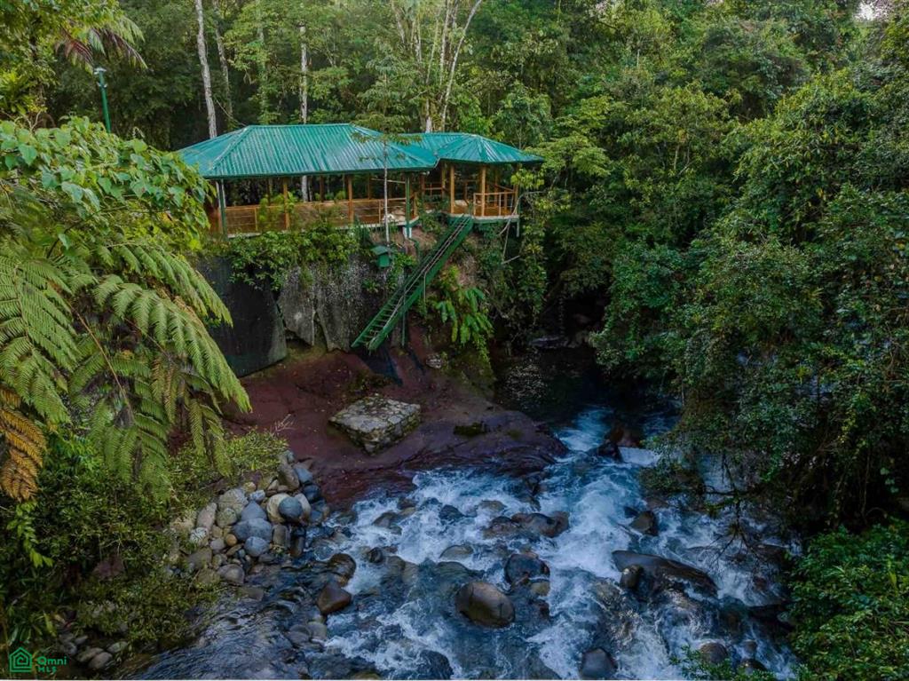 Finca Shakti , San Isidro del General, Perez Zeledon, San Jose