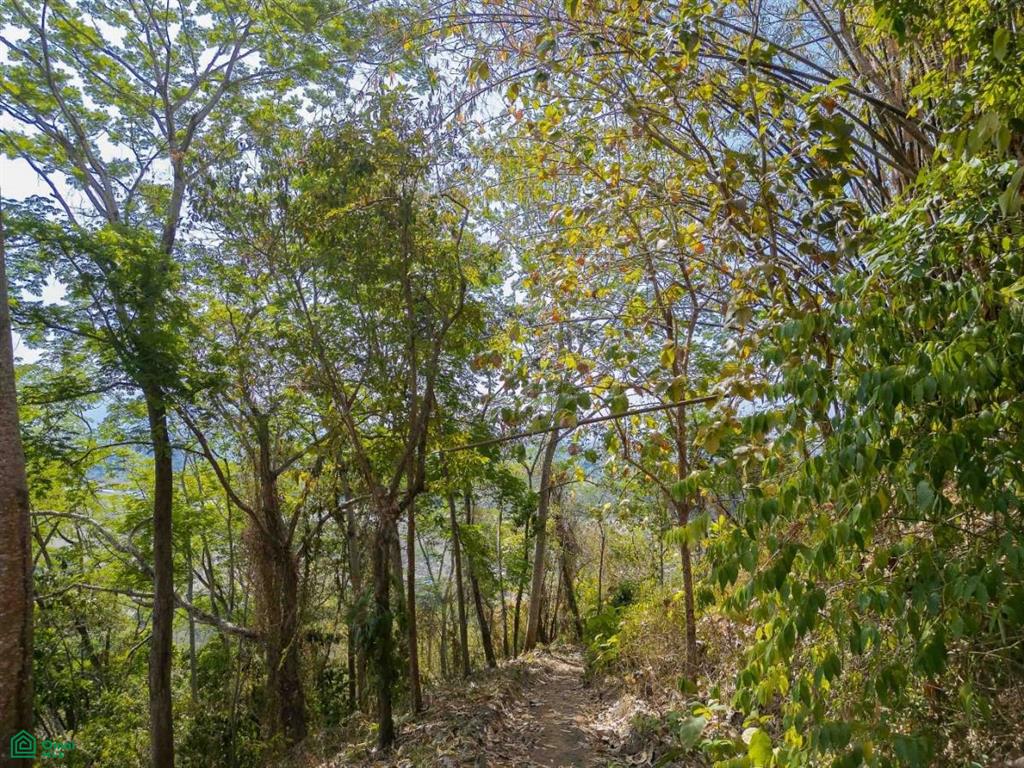 Ocean View Land for Sale , Quepos, Quepos, Puntarenas