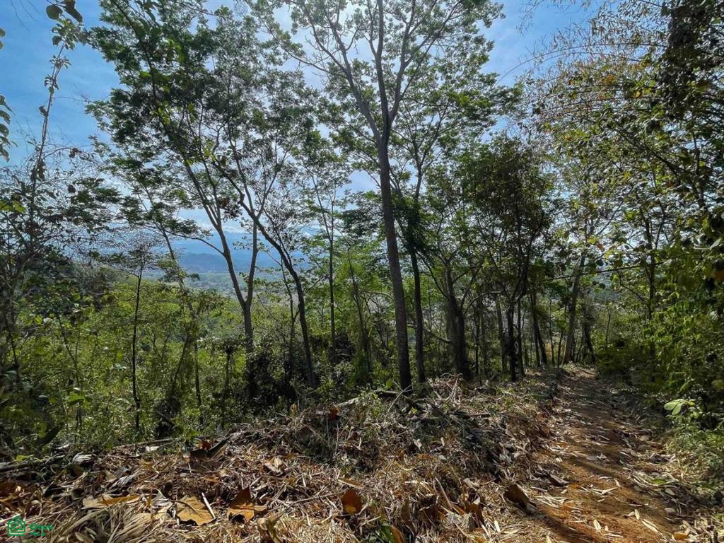 Ocean View Land for Sale , Quepos, Quepos, Puntarenas