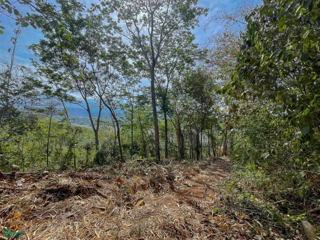 Ocean View Land for Sale , Quepos, Quepos, Puntarenas